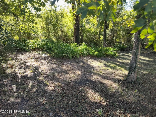 14523 NE Waldo Rd, Waldo, FL 32694 - photo 5