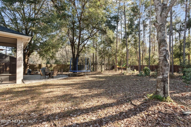 view of yard with a patio and a trampoline