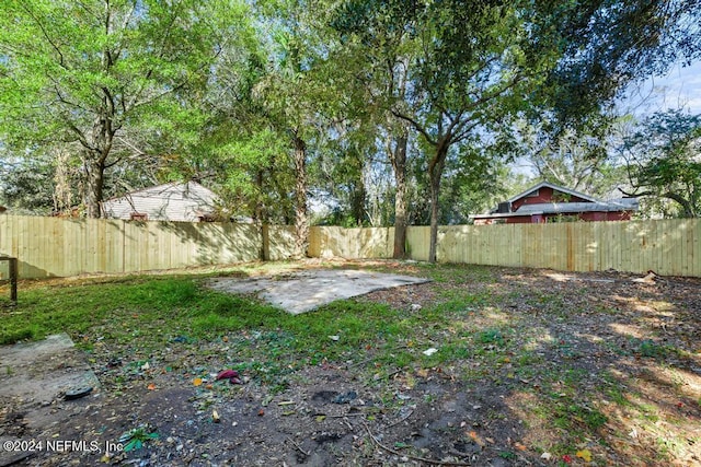 view of yard featuring a patio area