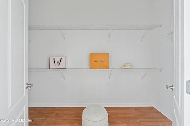 walk in closet featuring wood-type flooring