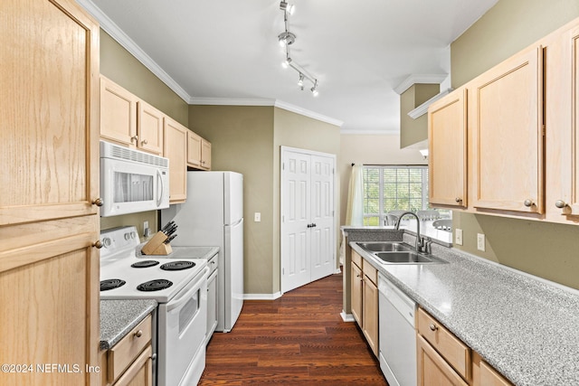 7800 Point Meadows Dr Unit 621, Jacksonville, FL 32256 - photo 8
