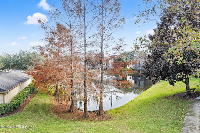 7800 Point Meadows Dr Unit 621, Jacksonville, FL 32256 - photo 18