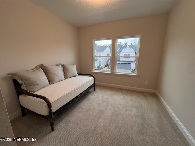 sitting room with light colored carpet and baseboards