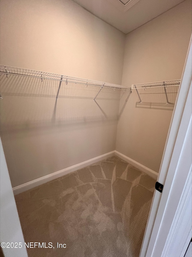 walk in closet featuring carpet flooring