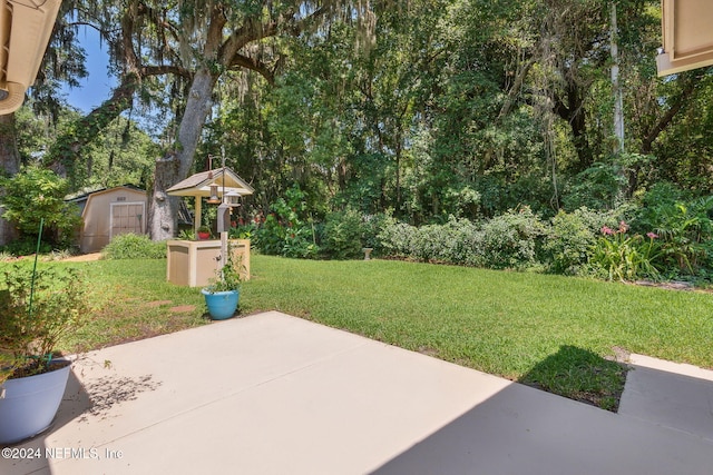 view of yard with a patio and a storage shed