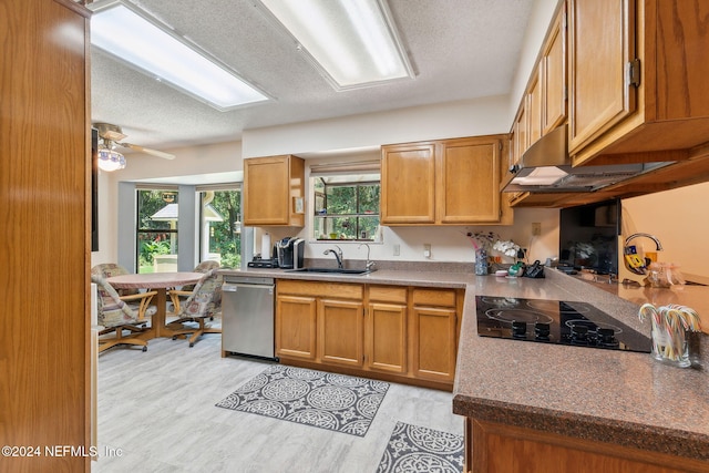 kitchen featuring light wood-type flooring, stainless steel dishwasher, a textured ceiling, ceiling fan, and sink