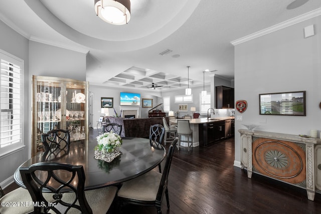 dining space featuring dark hardwood / wood-style floors, a wealth of natural light, and ornamental molding