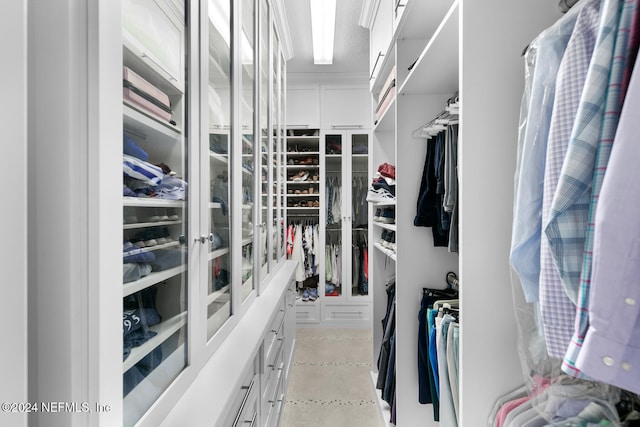 view of walk in closet