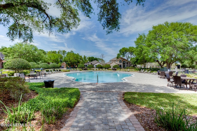 view of swimming pool featuring a patio area