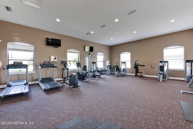 gym featuring carpet and a healthy amount of sunlight