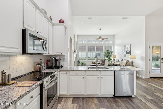 kitchen featuring stainless steel appliances, a peninsula, a sink, and a wealth of natural light