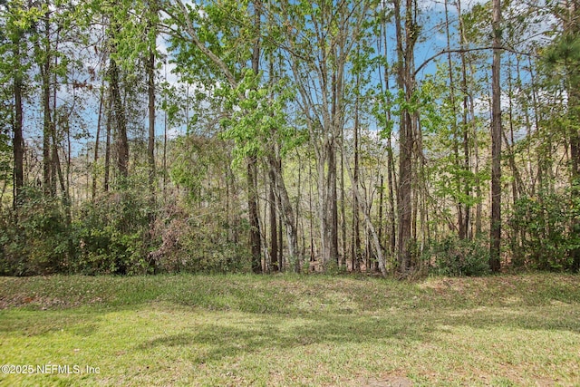 view of yard featuring a forest view