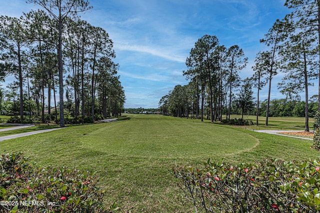 view of property's community with a lawn