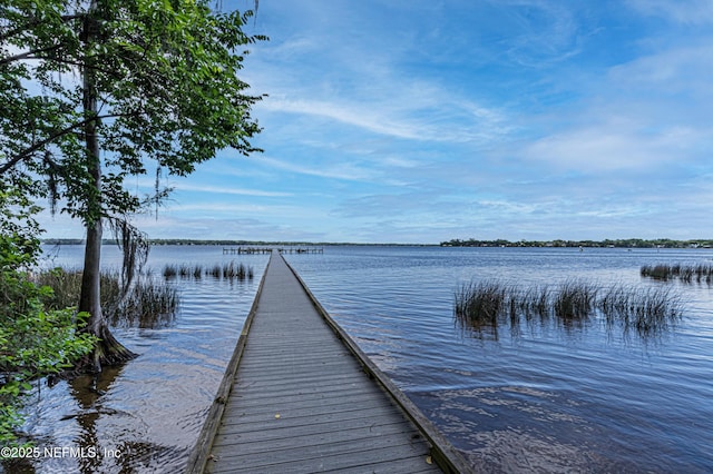 dock area with a water view