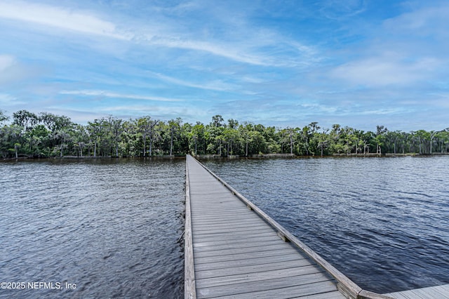 dock area featuring a water view