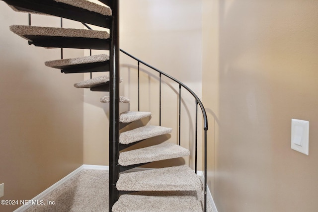 staircase featuring carpet flooring