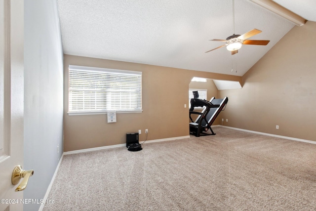 workout area featuring a textured ceiling, carpet, and vaulted ceiling