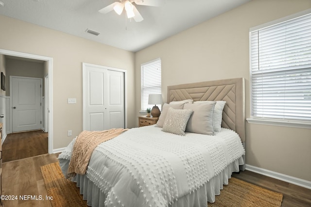 bedroom featuring multiple windows, ceiling fan, a closet, and dark wood-type flooring