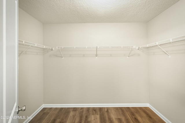 spacious closet featuring dark hardwood / wood-style floors