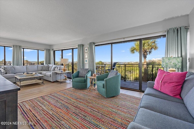 living room with a textured ceiling, light hardwood / wood-style floors, and plenty of natural light