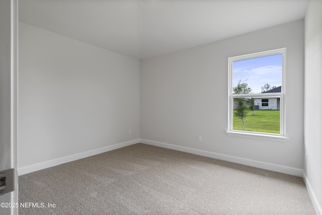 3234 Winding Creek Pl, Green Cove Springs, FL 32043 - photo 17