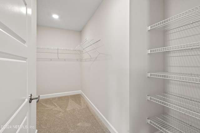 walk in closet with carpet