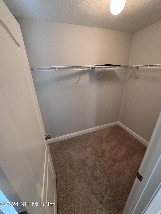 spacious closet with carpet