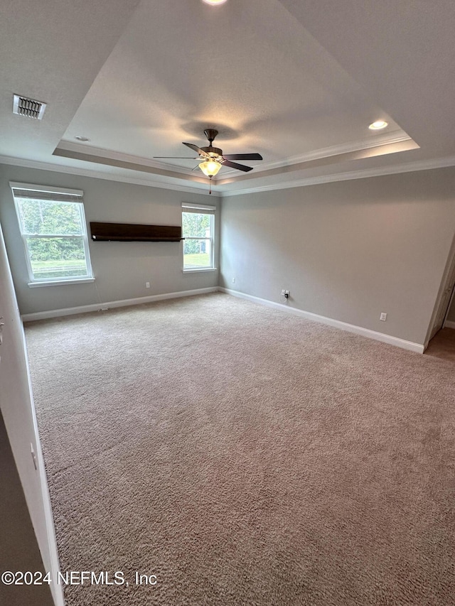 unfurnished room with carpet, plenty of natural light, and a raised ceiling