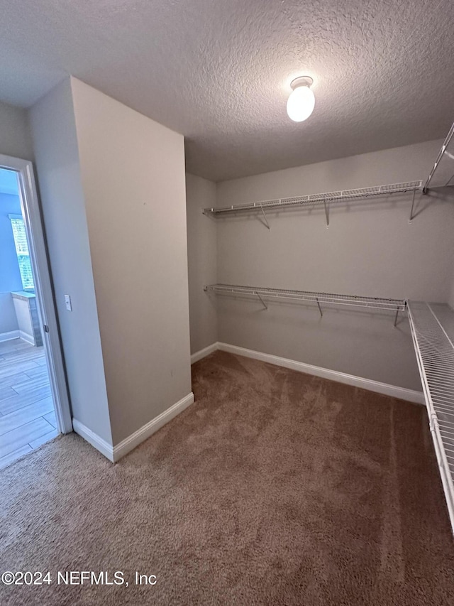 walk in closet with carpet floors