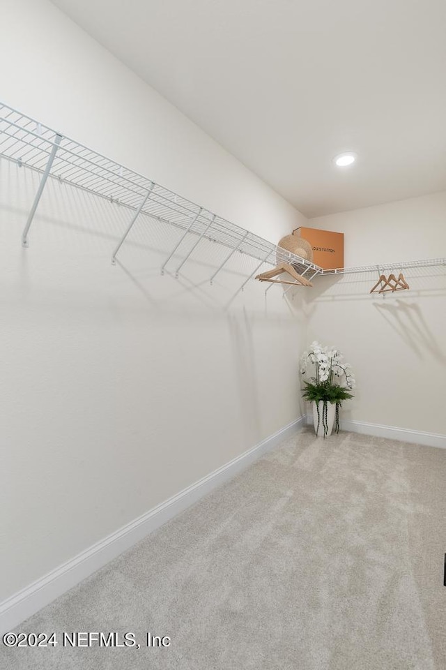 walk in closet with carpet flooring