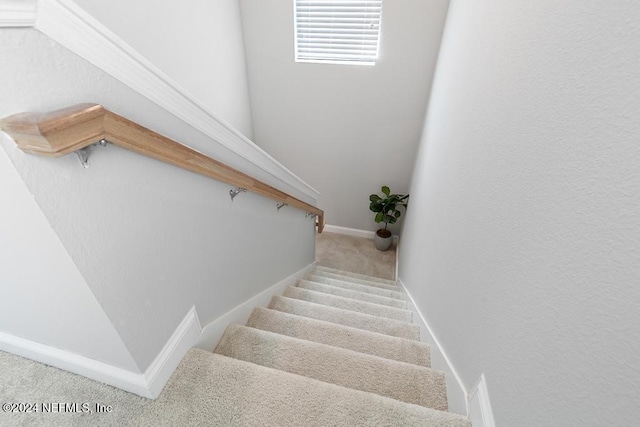 staircase featuring carpet flooring