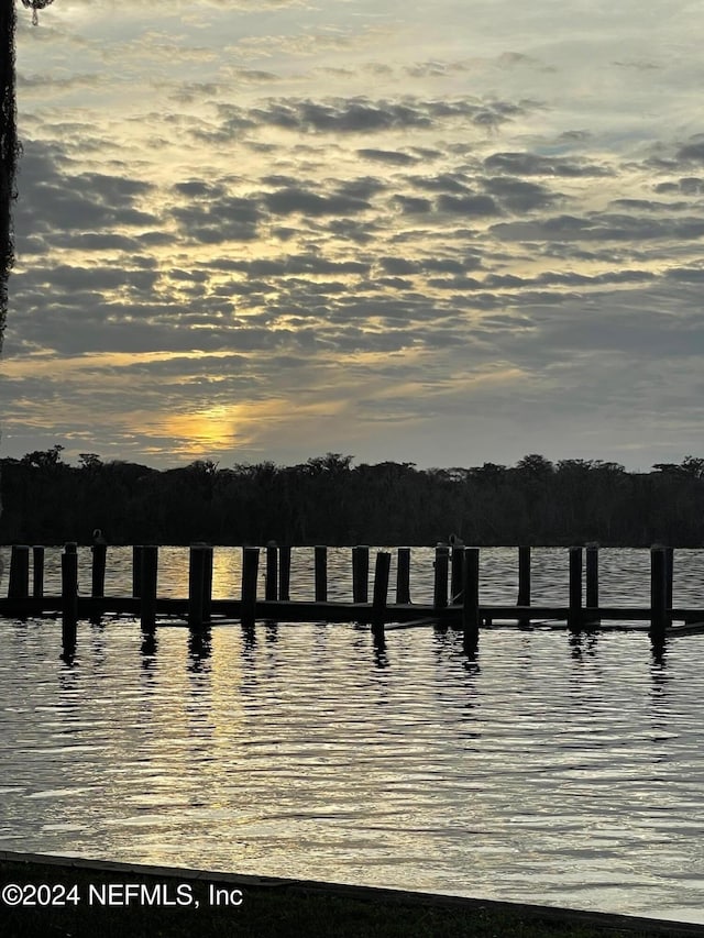179 Beechers Point Dr Unit C217, Welaka, FL 32193 - photo 34