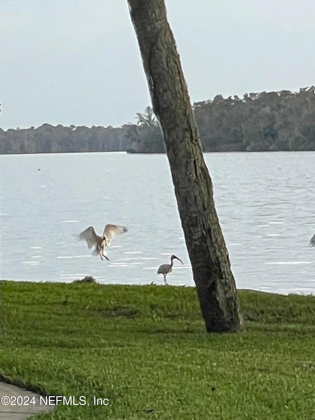 179 Beechers Point Dr Unit C217, Welaka, FL 32193 - photo 35