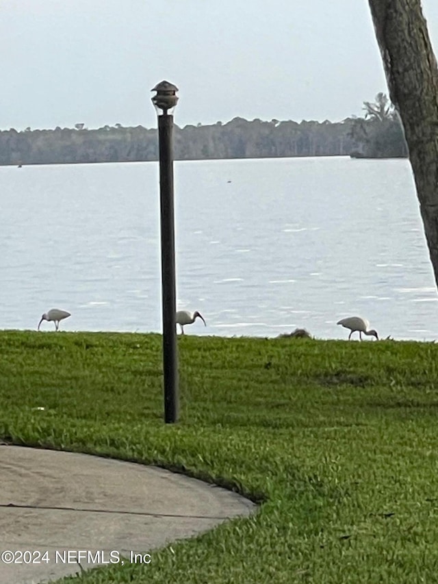 179 Beechers Point Dr Unit C217, Welaka, FL 32193 - photo 36