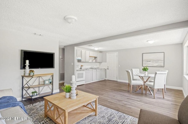 living room with sink, wood-type flooring, and a textured ceiling