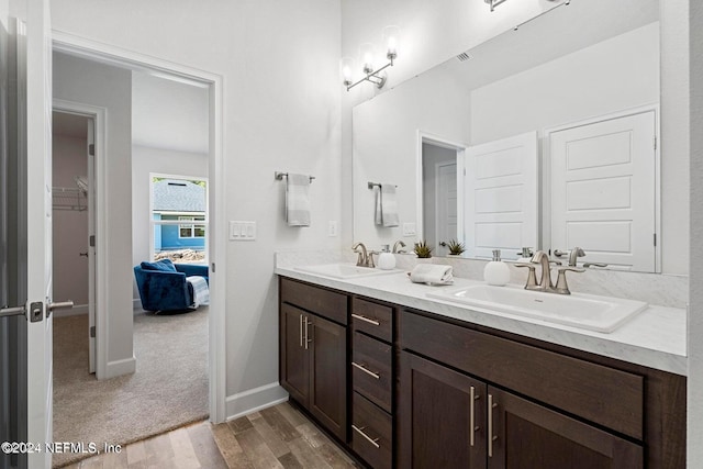 bathroom with wood-type flooring and vanity