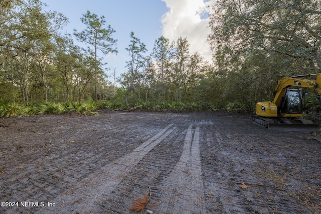 0 Pheasant Rd, Satsuma FL, 32189 land for sale