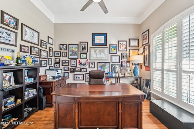 home office with ceiling fan, crown molding, and light hardwood / wood-style floors