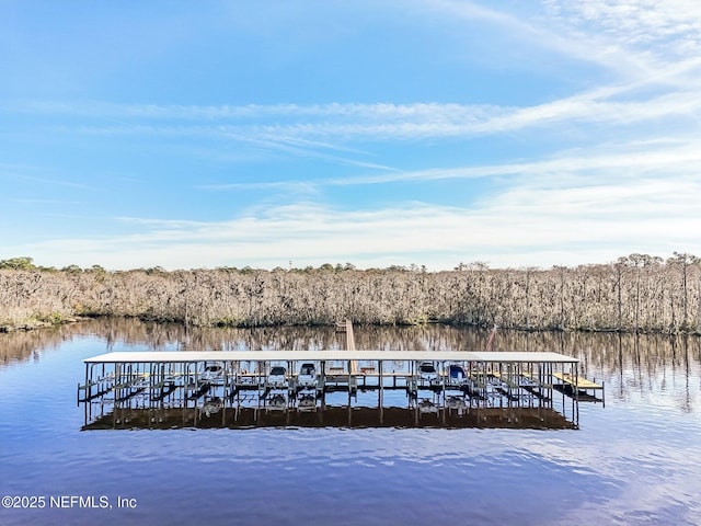 view of dock with a water view