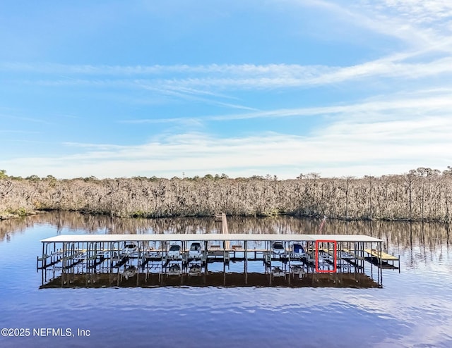 dock area featuring a water view