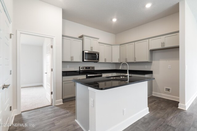 kitchen featuring gray cabinetry, sink, stainless steel appliances, and a kitchen island with sink