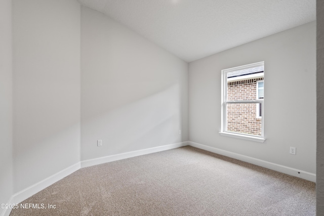 3245 Winding Creek Pl, Green Cove Springs, FL 32043 - carpeted spare room featuring baseboards, vaulted ceiling, and a textured ceiling