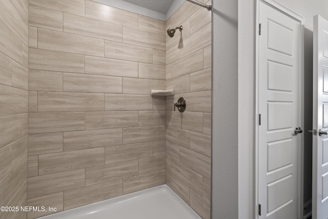3245 Winding Creek Pl, Green Cove Springs, FL 32043 - full bath with a tile shower