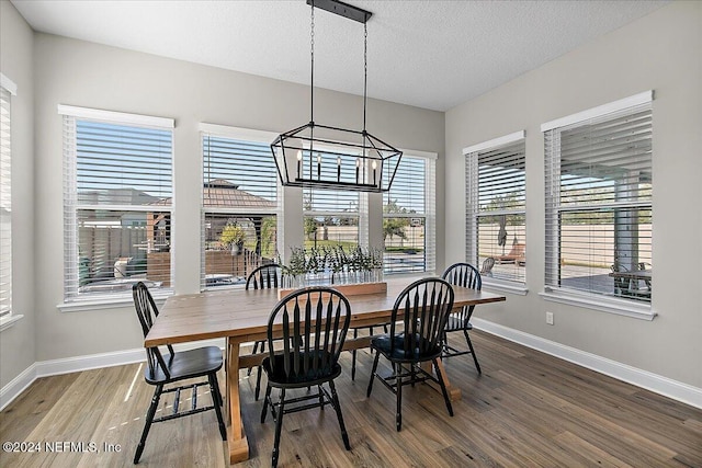 dining room featuring wood-type flooring, a textured ceiling, and plenty of natural light