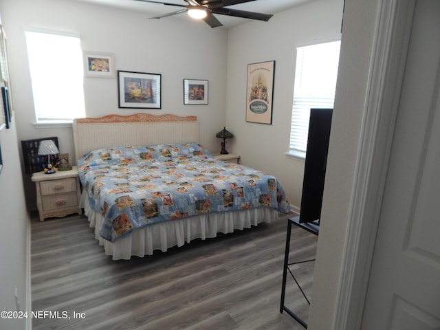 bedroom featuring ceiling fan, dark hardwood / wood-style flooring, and multiple windows