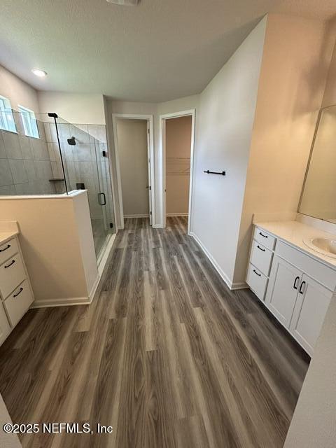 85431 Apple Canyon Ct, Fernandina Beach, FL 32034 - bathroom with vanity, a shower stall, wood finished floors, and a spacious closet