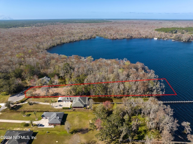 5565 Dianthus St, Green Cove Springs, FL 32043 - photo 4