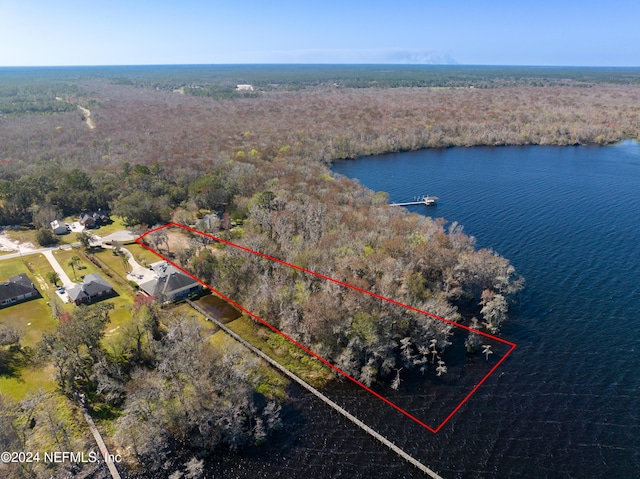 5565 Dianthus St, Green Cove Springs, FL 32043 - photo 5