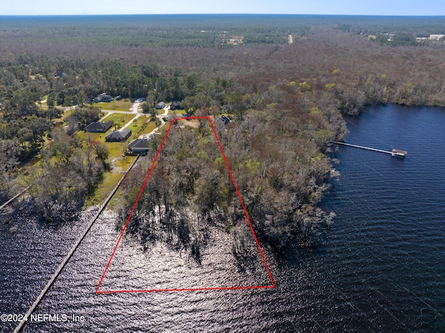 5565 Dianthus St, Green Cove Springs, FL 32043 - photo 6