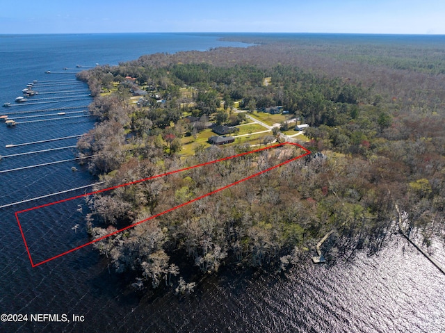 5565 Dianthus St, Green Cove Springs, FL 32043 - photo 8